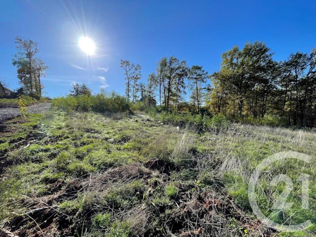 Vente Terrain constructible 2634 m2 Malemort sur Corrèze