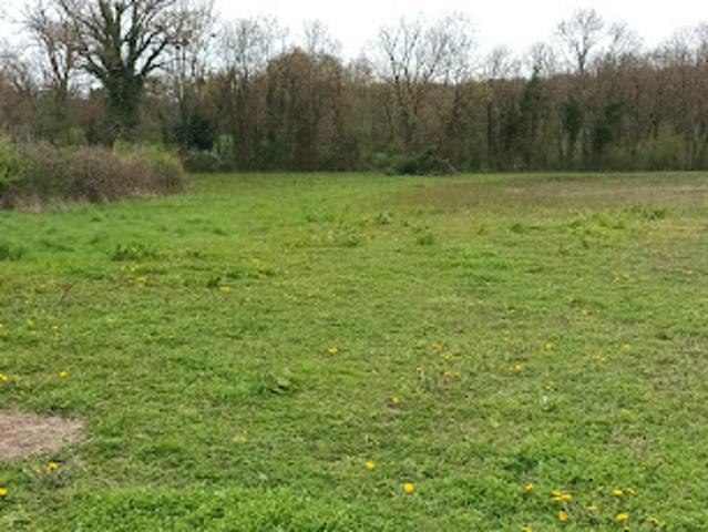 Vente Terrain constructible 275 m2 Pizay