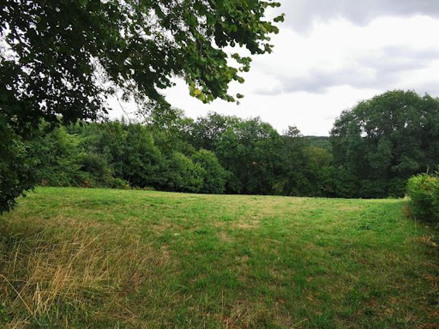 Vente Terrain constructible 2760 m2 Chapdes Beaufort