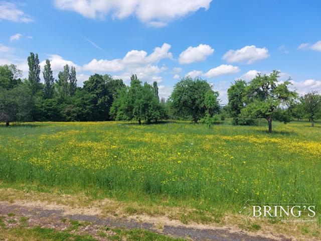 Vente Terrain constructible 2850 m2 Phalsbourg