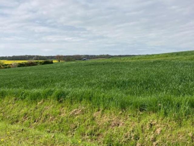 Vente Terrain constructible 2898 m2 Grisolles