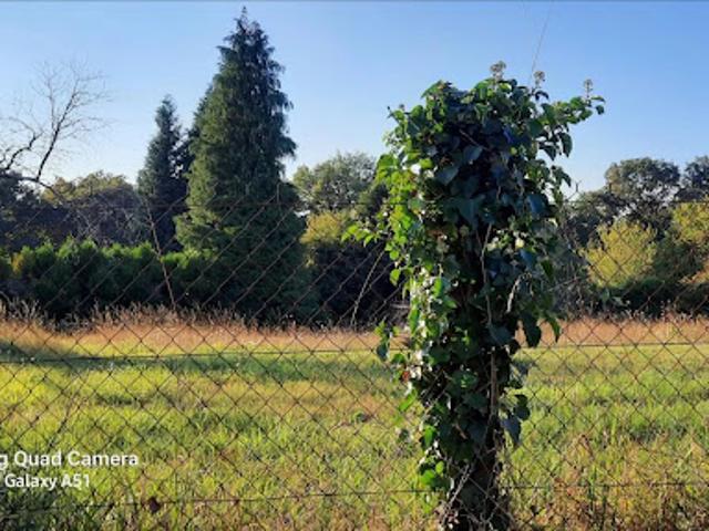 Vente Terrain constructible 2920 m2 Confolens