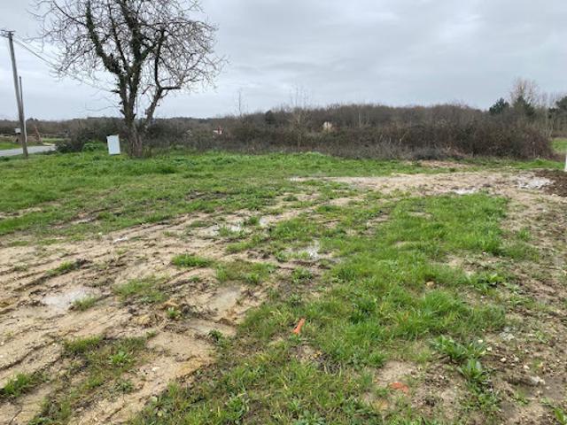 Vente Terrain constructible 309 m2 Dolus d'Oléron