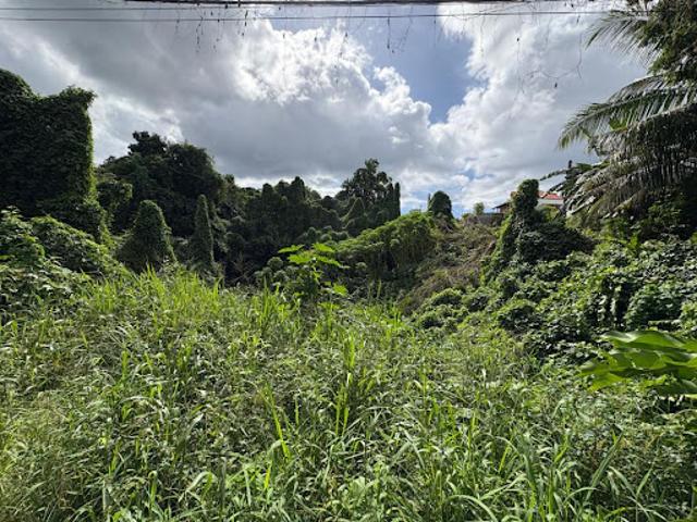 Vente Terrain constructible 3158 m2 Morne a l'eau