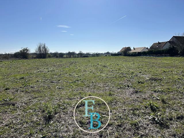 Vente Terrain constructible 319 m2 Grandcamp Maisy