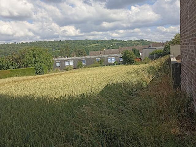 Vente Terrain constructible 3367 m2 Lumbres