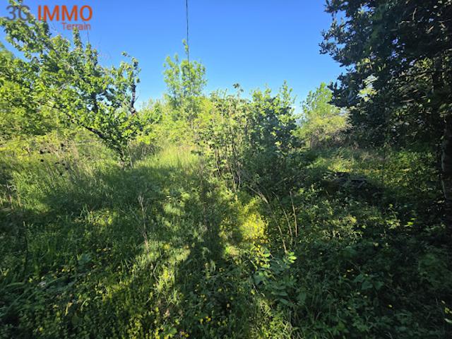 Vente Terrain constructible 336 m2 Castres