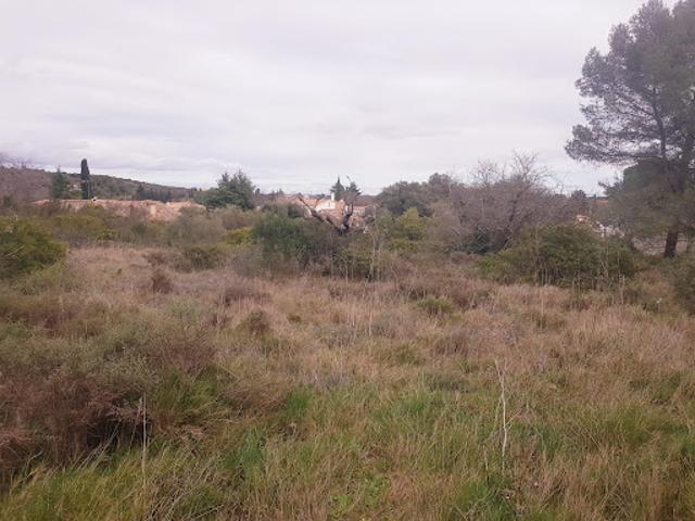 Vente Terrain constructible 340 m2 Pignan