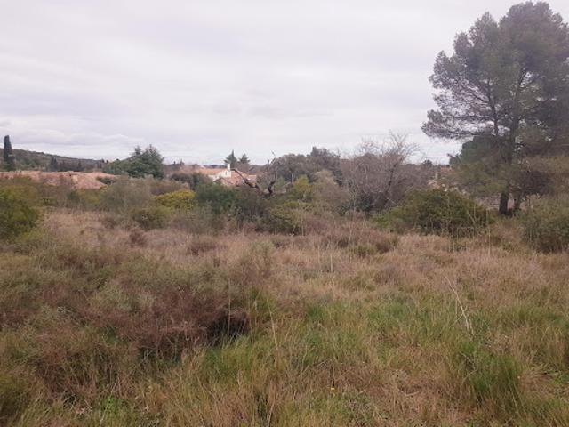 Vente Terrain constructible 340 m2 Pignan