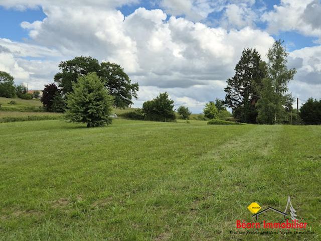 Vente Terrain constructible 3421 m2 Salies de bearn