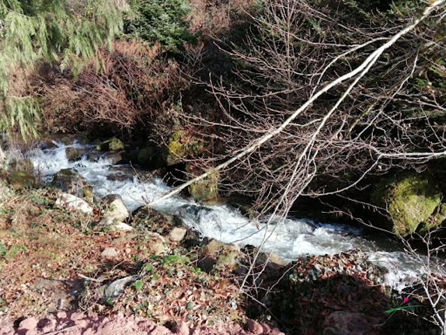 Vente Terrain constructible 355 m2 Le Hohwald