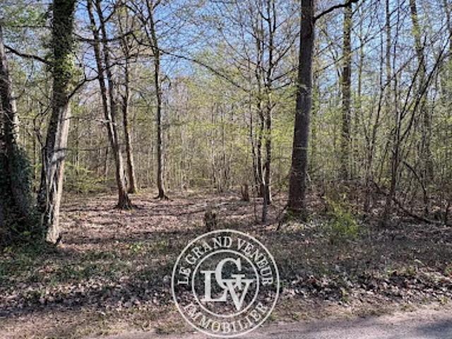 Vente Terrain constructible 3790 m2 Noisy sur Ecole
