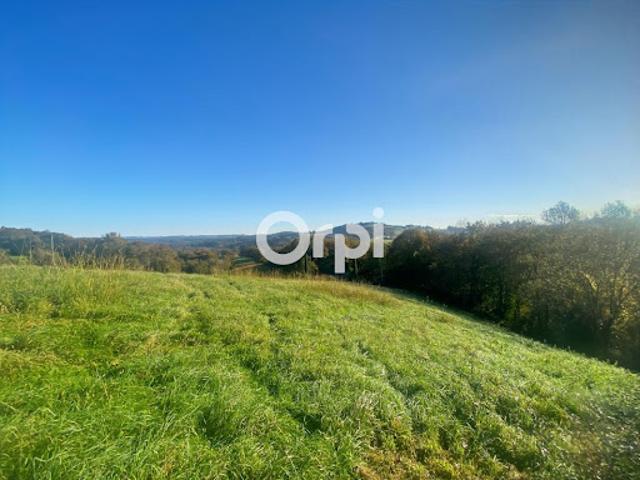 Vente Terrain constructible 3841 m2 Esquiule