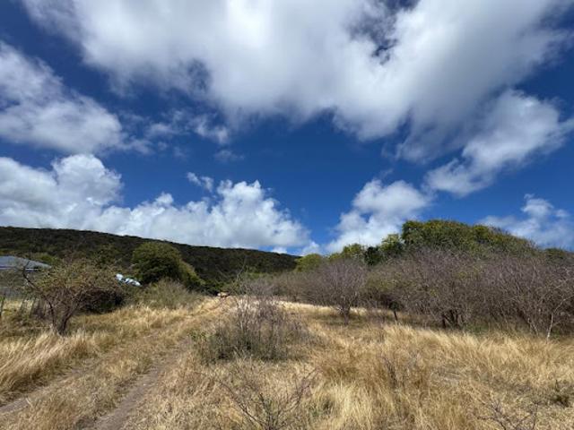 Vente Terrain 38180 m2 Capesterre de marie galante