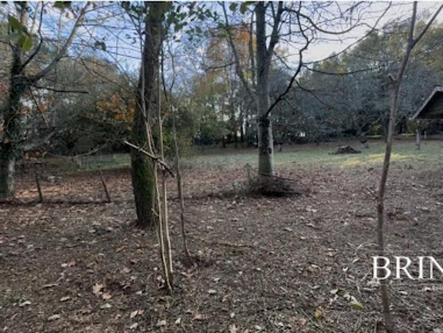 Vente Terrain constructible 3979 m2 Chateaubriant