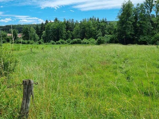 Vente Terrain constructible 4045 m2 Aydoilles