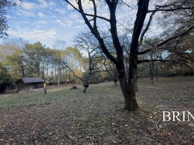 Vente Terrain constructible 4000 m2 Chateaubriant