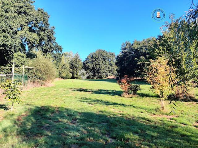 Vente Terrain constructible 4000 m2 Guerlédan