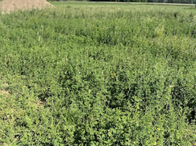 Vente Terrain constructible 402 m2 Saasenheim