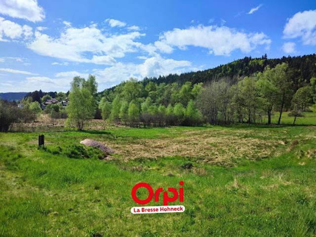 Vente Terrain constructible 4185 m2 Le Tholy