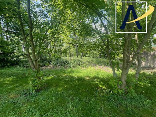 Vente Terrain constructible 4100 m2 Offemont
