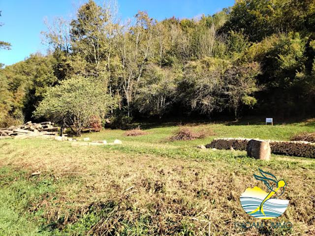 Vente Terrain constructible 4267 m2 Saint Faust