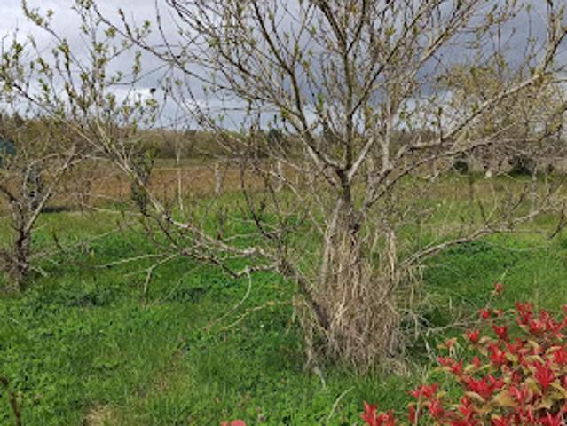 Vente Terrain constructible 450 m2 Chatillon sur cher
