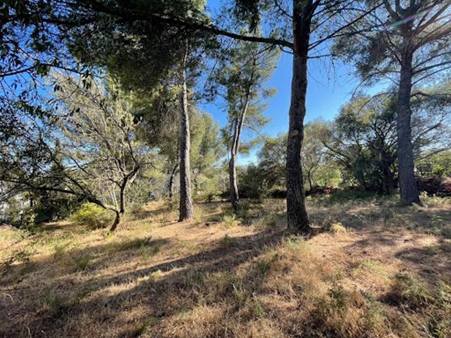 Vente Terrain constructible 453 m2 Six Fours les Plages