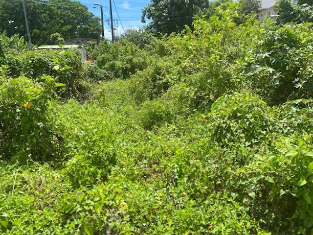 Vente Terrain constructible 479 m2 Les abymes