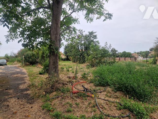 Vente Terrain constructible 500 m2 Alignan du Vent