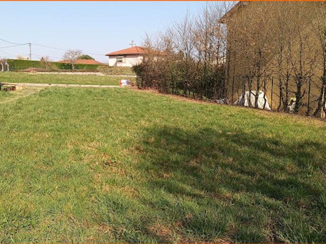 Vente Terrain constructible 525 m2 Pizay