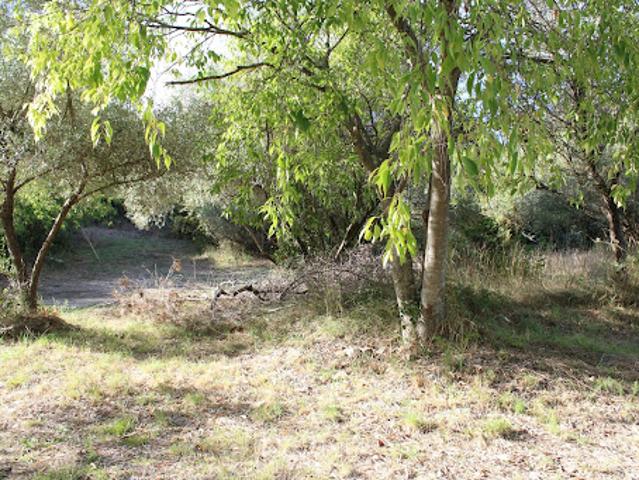 Vente Terrain constructible 5266 m2 Uchaud