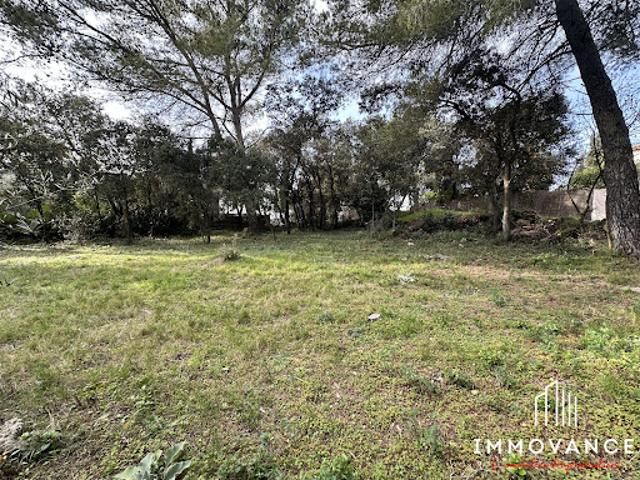 Vente Terrain constructible 538 m2 Aubais