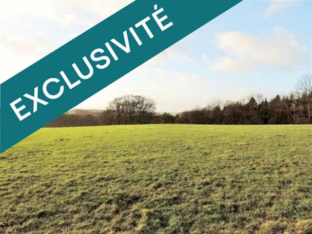 Vente Terrain constructible 532 m2 Saint Germain du Seudre