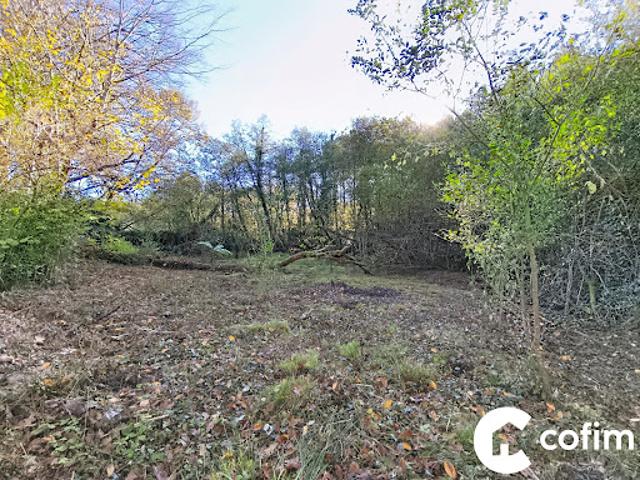 Vente Terrain constructible 5330 m2 Saint Julien en Born