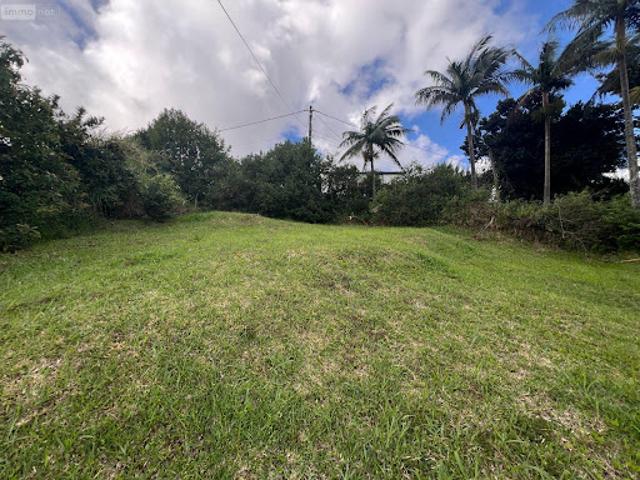 Vente Terrain constructible 558 m2 Sainte Marie