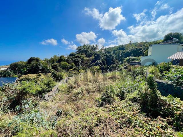 Vente Terrain constructible 577 m2 Saint leu