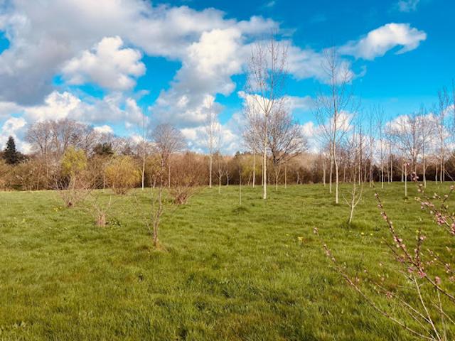 Vente Terrain constructible 5720 m2 Grosbreuil