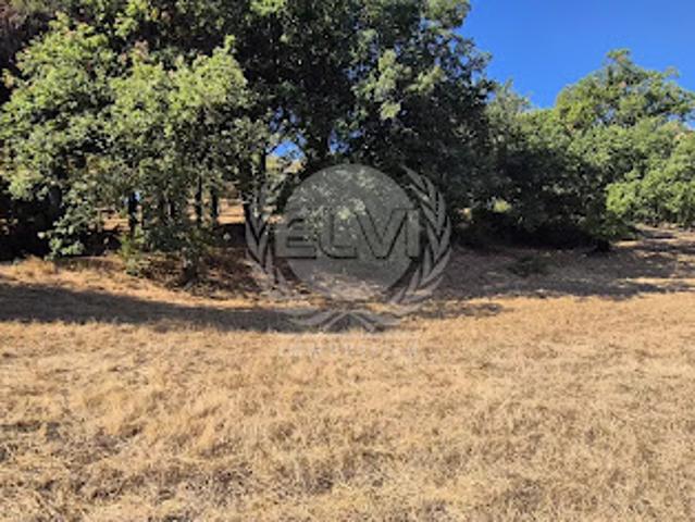Vente Terrain constructible 5732 m2 Plan de la Tour
