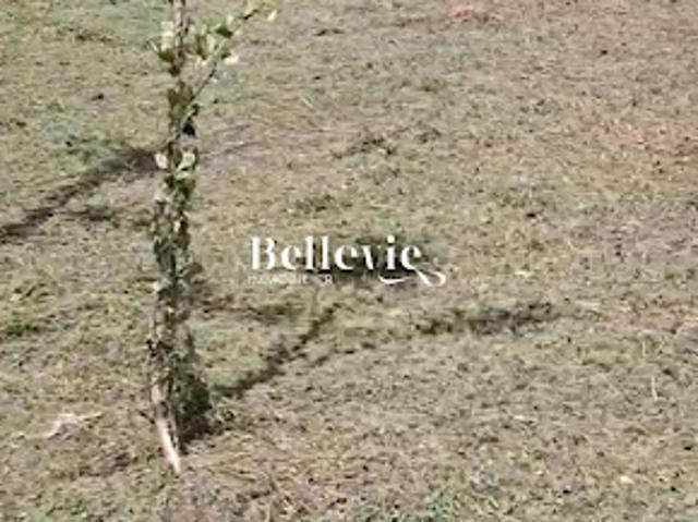 Vente Terrain constructible 0 m2 Baie mahault