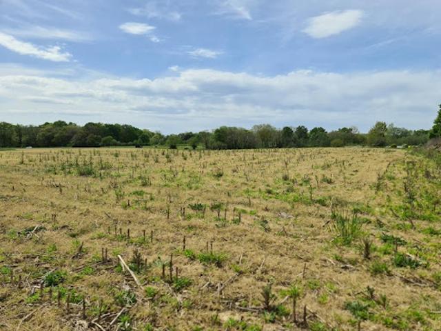 Vente Terrain constructible 584 m2 Sainte Marie de Gosse