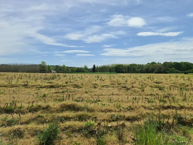 Vente Terrain constructible 595 m2 Sainte Marie de Gosse
