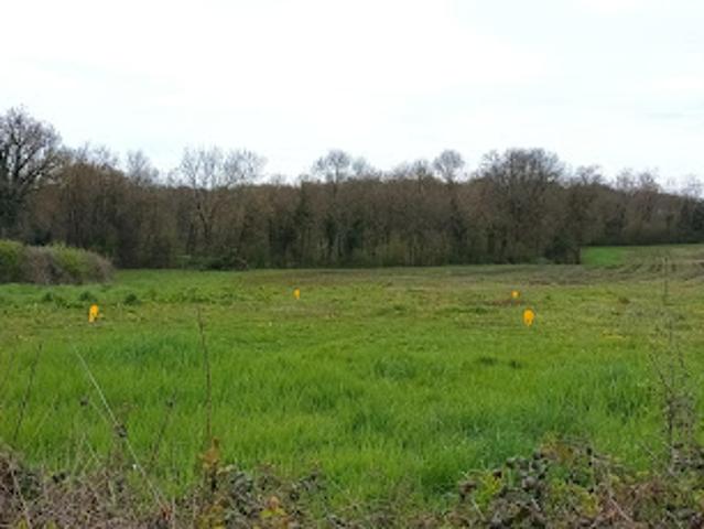 Vente Terrain constructible 590 m2 Pizay