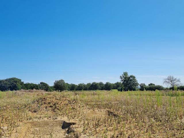Vente Terrain constructible 604 m2 Savenès