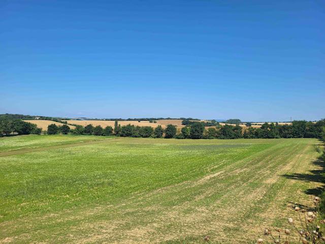 Vente Terrain constructible 608 m2 Villefranche de Lauragais