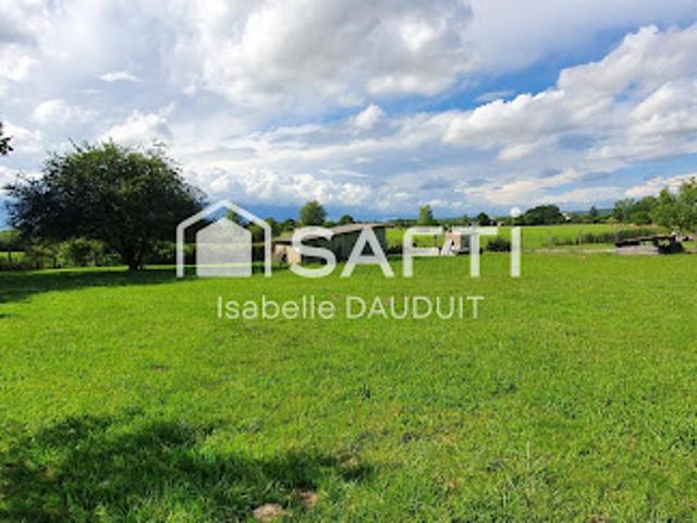 Vente Terrain constructible 603 m2 Nègrepelisse
