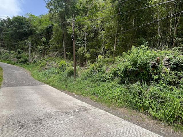 Vente Terrain constructible 6148 m2 Riviere pilote