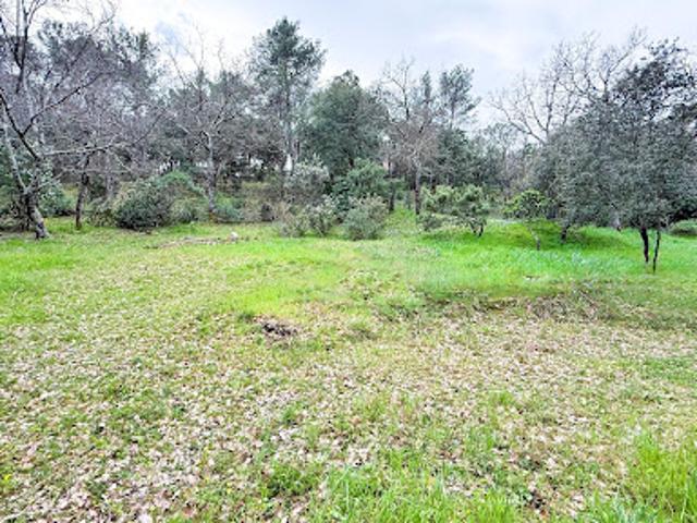 Vente Terrain constructible 613 m2 Carnoules