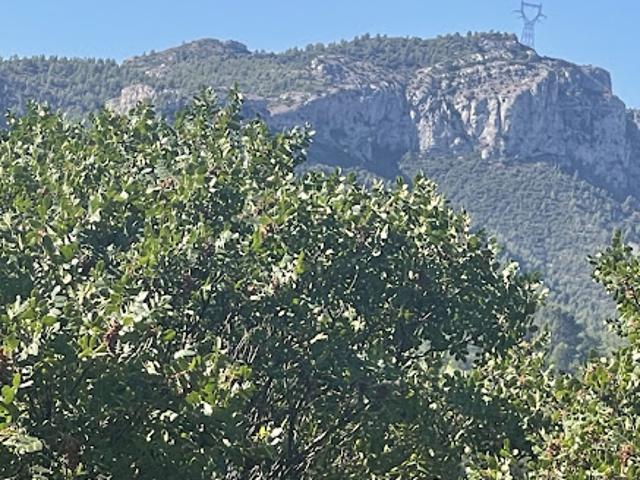 Vente Terrain constructible 625 m2 Auriol