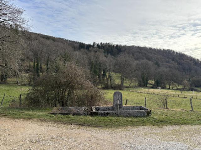 Vente Terrain constructible 6233 m2 Cornod